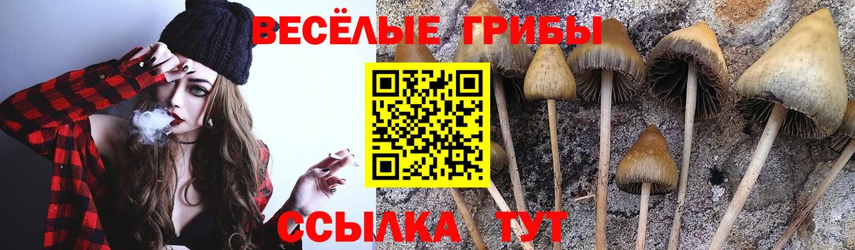 наркота  Галлюциногенные грибы Cubensis  Вход с VPN  Псилоцибиновые грибы Psilocybe  Коркино 